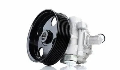 Mercedes-Benz 0064663601 Pam Stereng Kuasa